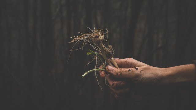 robb-leahy-512378-unsplash